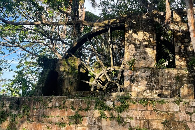 Sightseen tour and Souvenir shopping with private transportation in Montego Bay - The comfort factor: air-conditioning, steady driving, and helpful guidance