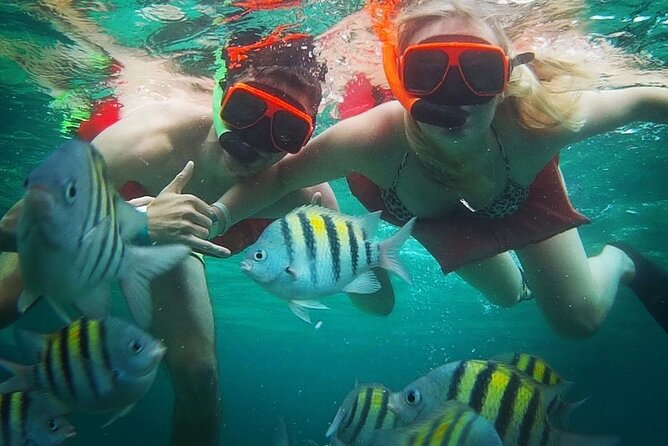 Snorkeling and Shopping in Montego Bay with Hotel pickup - Hotel pickup and the “get there, get back” rhythm