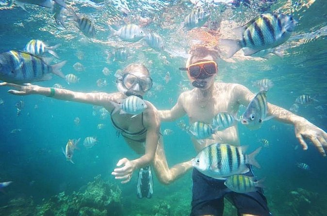 Snorkeling and Shopping in Montego Bay with Hotel pickup - Price and value: $85 per person in real life