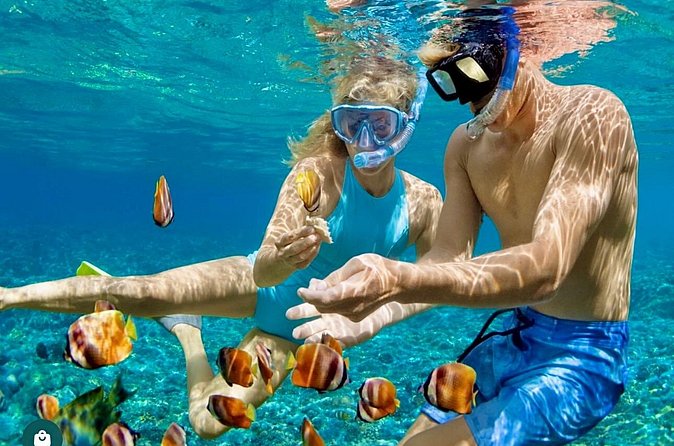 Snorkeling and Shopping in Montego Bay with Hotel pickup - Watch outs that can affect your day
