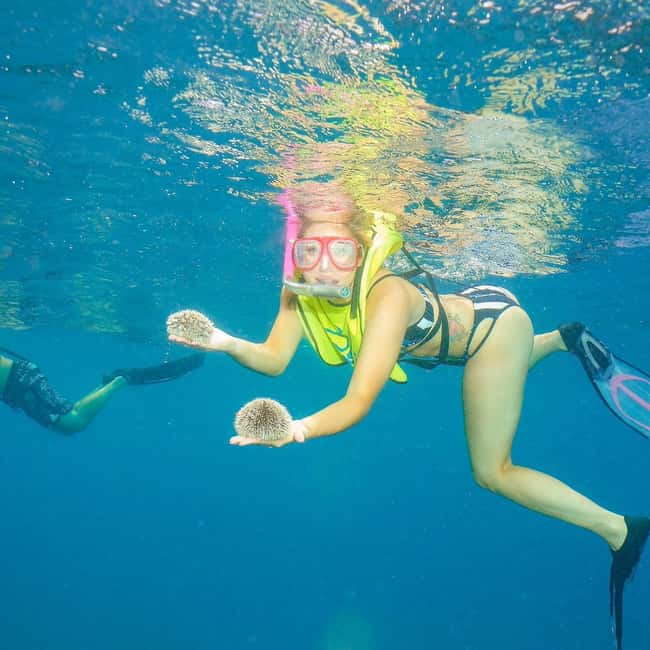 Snorkeling in Montego Bay with Transportation - The short coach ride to the water (15 minutes) and why it’s good