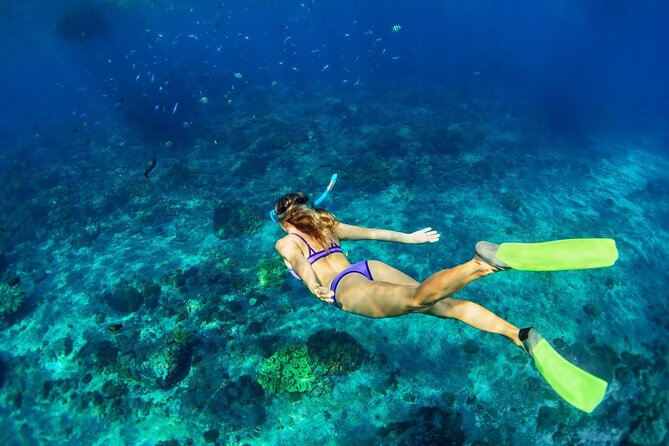 Sunset Catamaran cruise, Snorkeling and Rick's Cafe from Mobay - Group size, shared cruise feel, and what it means for your day