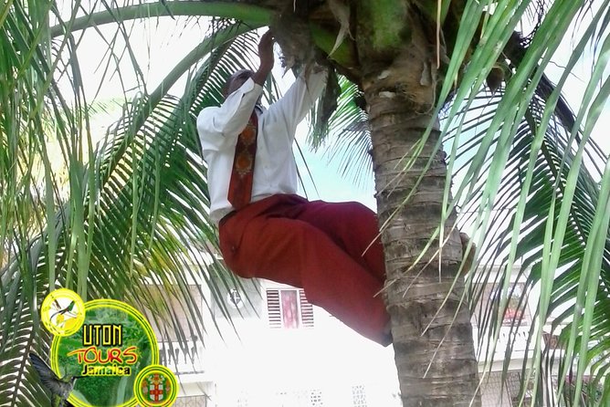 The AMAZING Montego Bay Tour - Getting Picked Up: Port or Hotel, Up to 15 in One Vehicle