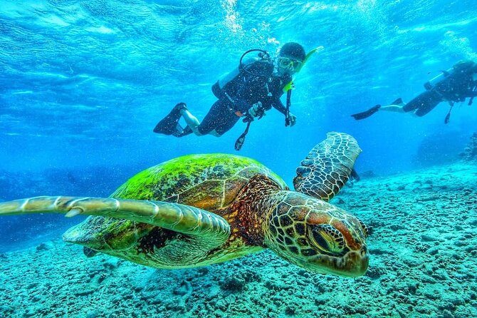 Two Tank Dive in Montego Bay w/Certified Divers - How the Montego Bay two-tank plan actually works