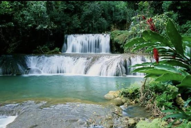 YS Falls and Appleton Estate Private Rum Tour - Who This Private Tour Fits Best