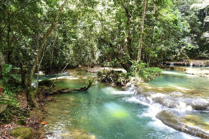 YS Falls and Appleton Estate Private Rum Tour - Should You Book This Private Rum and Falls Tour?