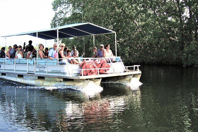 YS Falls and Black River Safari Guided Tour from Montego Bay and Grand Palladium - Tarzan Rope vs. Zipline Canopy: Know What’s Included