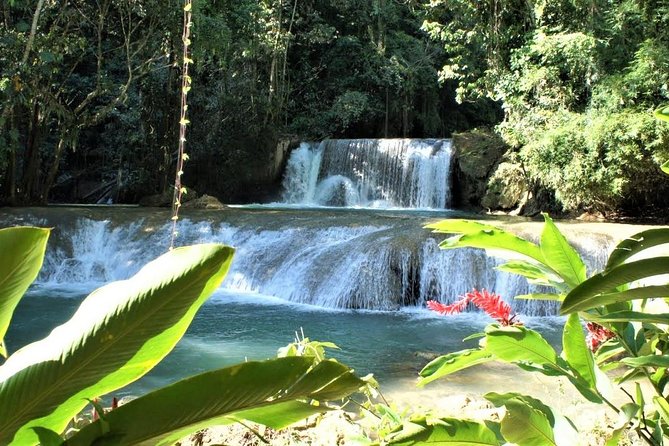 YS Falls and Black River Safari Guided Tour from Montego Bay and Grand Palladium - Black River Safari by Pontoon Boat: Crocs, Birds, and a Captain With Confidence