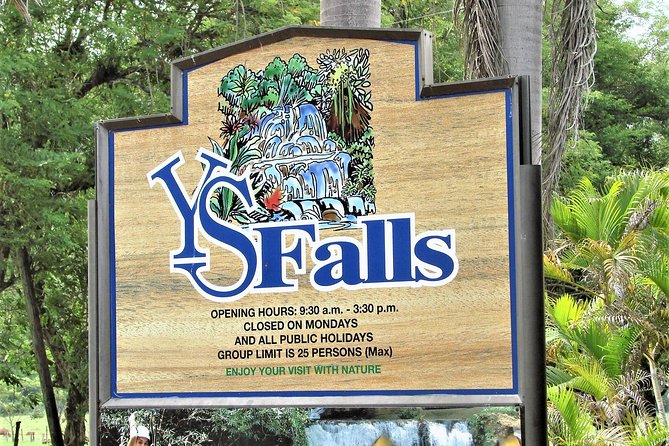 YS Falls and Black River Safari Guided Tour from Montego Bay and Grand Palladium - Price and Value: What $145 Gets You (and Why It Can Be Worth It)