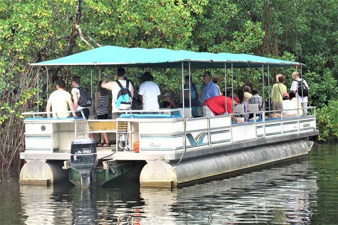 YS Falls and Black River Safari Guided Tour from Montego Bay and Grand Palladium - Lunch by the Black River Dock: A Break That Feels Like Part of the Tour