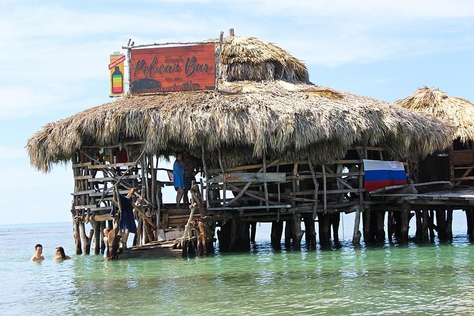 YS Falls, Black River Safari, and Floyd's Pelican Bar Day-Trip (Transportation) - Quick hits before you go