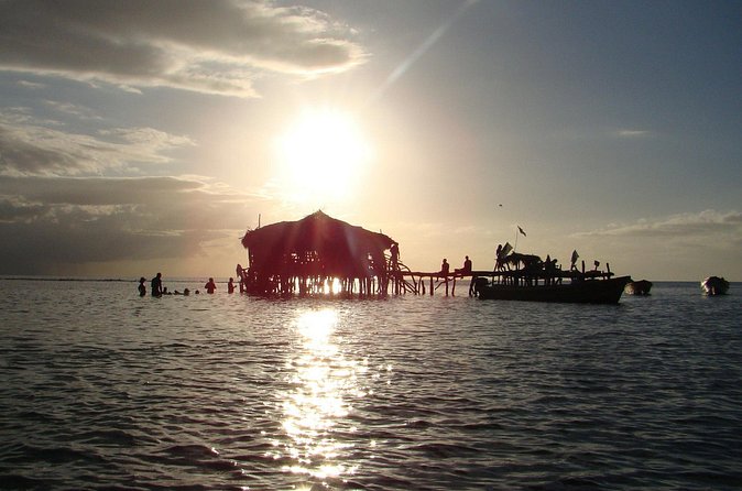 YS Falls, Black River Safari, and Floyd's Pelican Bar Day-Trip (Transportation) - Price and value: what $133.29 per person really covers