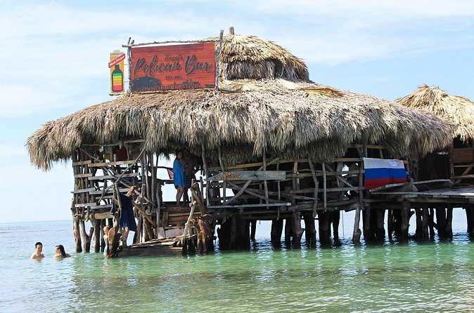 YS Falls, Black River Safari, and Floyd's Pelican Bar Day-Trip (Transportation) - What to expect at each stop, beyond the headline
