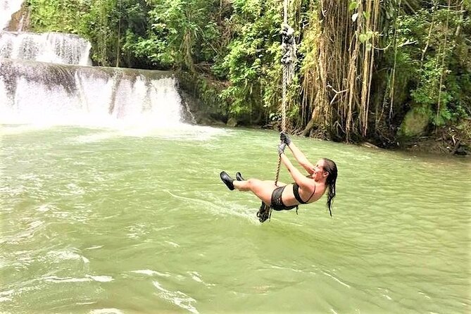 YS Falls, Black River Safari, Appleton Rum Tour OR Pelican Bar (Choose Up to 3) - Price and value: what you are paying for, and what you are not