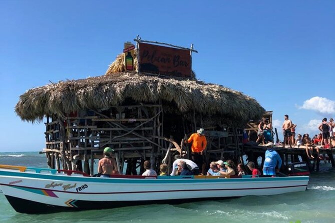 YS Falls, Black River Safari, Appleton Rum Tour OR Pelican Bar (Choose Up to 3) - Black River Safari: crocodiles, boat time, and a different ecosystem