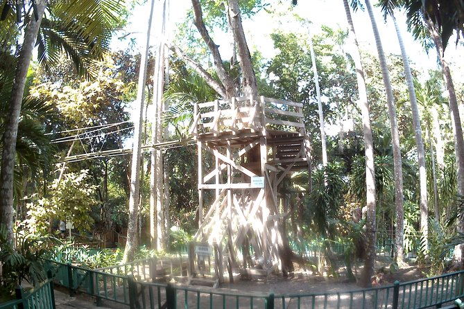 Zip Line over the Dunns River Falls - The 9:00 am start, private timing, and hotel pickup
