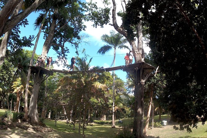 Zip Line over the Dunns River Falls - Zipping over the falls: what the start and course feel like