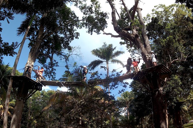 Zip Line over the Dunns River Falls - The top views and why the height is worth it