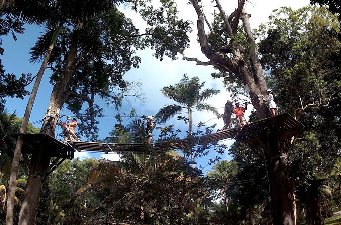 Zip Line over the Dunns River Falls - Exploring Dunn’s River Falls after the ziplines