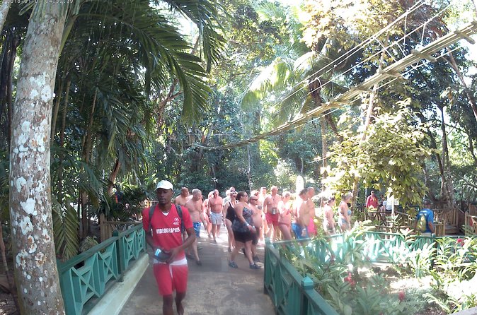 Zip Line over the Dunns River Falls - Driver talk, real-world logistics, and the 4-hour window