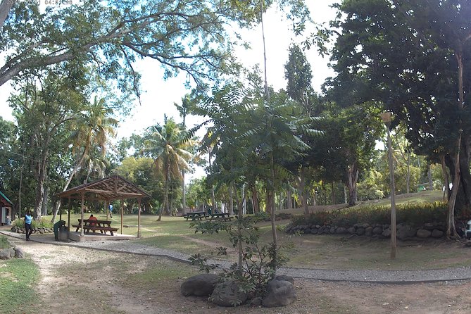 Zip Line over the Dunns River Falls - Price and value: is $192.67 per person fair?
