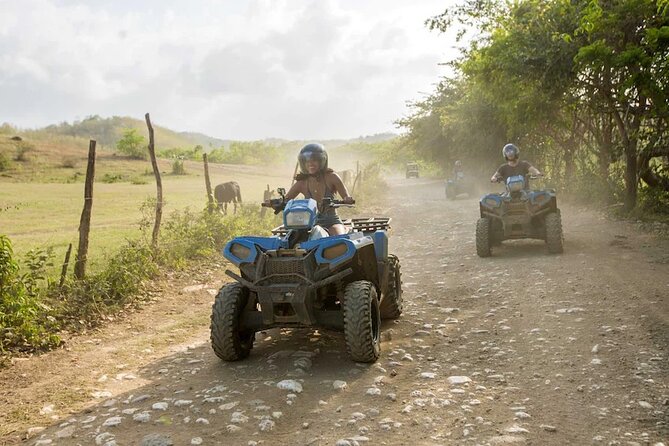Zip-lining/Horseback Rides/Cat & Atv Inclusive Act with Transpo From Montego Bay - Price and value: why $210 can make sense for Montego Bay