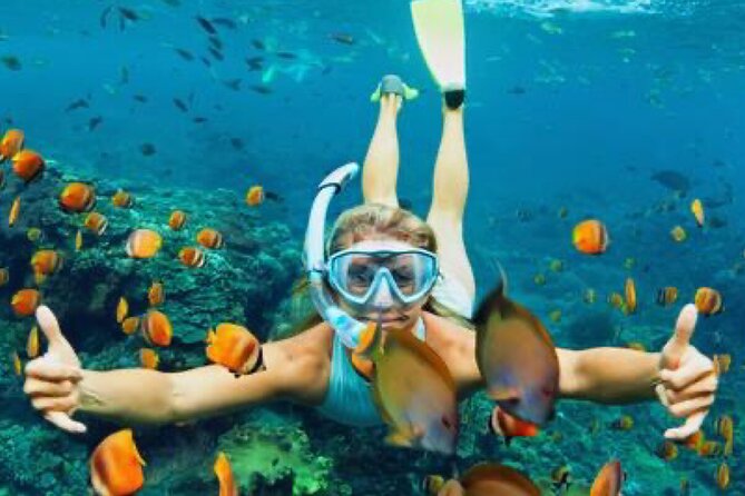 Zip-lining/Horseback Rides/Cat & Atv Inclusive Act with Transpo From Montego Bay - What is included, and what you pay for yourself