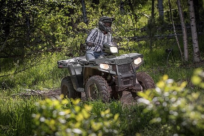 Zip-lining/Horseback Rides/Cat & Atv Inclusive Act with Transpo From Montego Bay - ATV 4-wheeler safari: trails, rules, and why a license matters