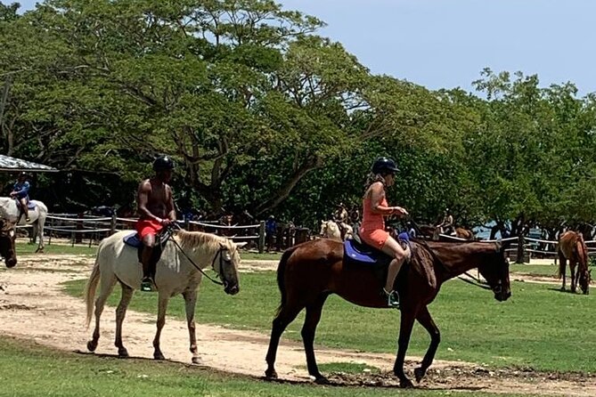 Zipline, Horseback Ride, ATV and Catamaran from Montego Bay - A Six-Hour Mix of Zipline, ATV, Sea Horseback, and a Catamaran Party