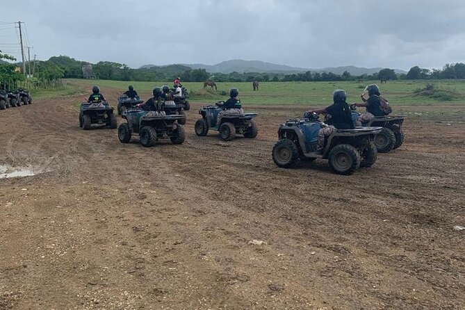 Zipline, Horseback Ride, ATV and Catamaran from Montego Bay - Price and What You Actually Get for $440